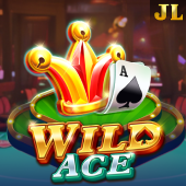 Wild Ace 48jl slot game